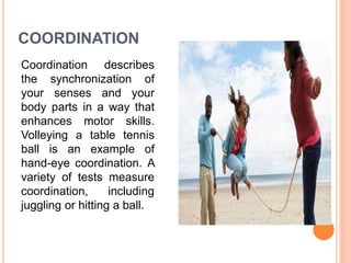 COORDINATION
Coordination describes
the synchronization of
your senses and your
body parts in a way that
enhances motor skills.
Volleying a table tennis
ball is an example of
hand-eye coordination. A
variety of tests measure
coordination, including
juggling or hitting a ball.
 