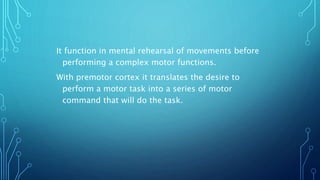 It function in mental rehearsal of movements before 
performing a complex motor functions. 
With premotor cortex it translates the desire to 
perform a motor task into a series of motor 
command that will do the task. 
 