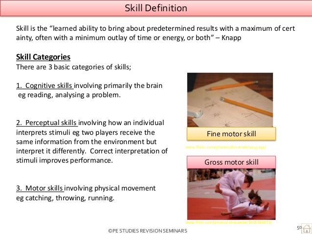 How Did Lashley Develop The Equipotentiality Hypothesis? Motor learning