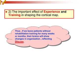  2) The important effect of Experience and 
Training in shaping the cortical map. 
Thus , if we leave patients without 
rehabilitation training for many weeks 
or months, their brains will show 
changes in organization , reflecting 
Disuse. 
 