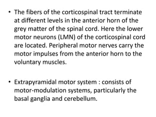 • The fibers of the corticospinal tract terminate
at different levels in the anterior horn of the
grey matter of the spinal cord. Here the lower
motor neurons (LMN) of the corticospinal cord
are located. Peripheral motor nerves carry the
motor impulses from the anterior horn to the
voluntary muscles.
• Extrapyramidal motor system : consists of
motor-modulation systems, particularly the
basal ganglia and cerebellum.
 