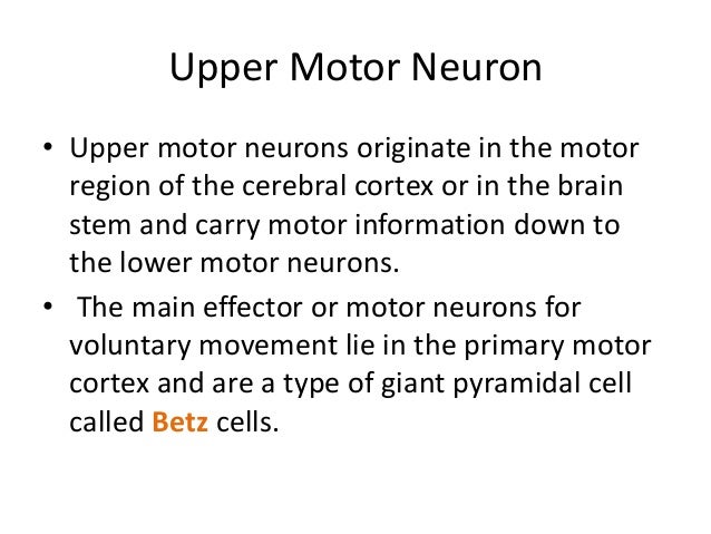 upper motor neuron lesion