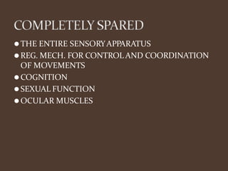 ⚫THE ENTIRE SENSORYAPPARATUS
⚫REG. MECH. FOR CONTROL AND COORDINATION
OF MOVEMENTS
⚫COGNITION
⚫SEXUAL FUNCTION
⚫OCULAR MUSCLES
 
