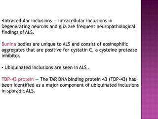 •Intracellular inclusions — Intracellular inclusions in
Degenerating neurons and glia are frequent neuropathological
findings of ALS.
Bunina bodies are unique to ALS and consist of eosinophilic
aggregates that are positive for cystatin C, a cysteine protease
inhibitor.
• Ubiquinated inclusions are seen in ALS .
TDP-43 protein — The TAR DNA binding protein 43 (TDP-43) has
been identified as a major component of ubiquinated inclusions
in sporadic ALS.
 
