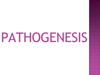 PATHOGENESIS
 