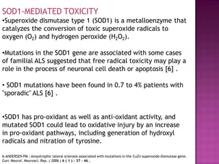 SOD1-MEDIATED TOXICITY
•Superoxide dismutase type 1 (SOD1) is a metalloenzyme that
catalyzes the conversion of toxic superoxide radicals to
oxygen (O2) and hydrogen peroxide (H2O2).
•Mutations in the SOD1 gene are associated with some cases
of familial ALS suggested that free radical toxicity may play a
role in the process of neuronal cell death or apoptosis [6] .
• SOD1 mutations have been found in 0.7 to 4% patients with
"sporadic" ALS [6] .
•SOD1 has pro-oxidant as well as anti-oxidant activity, and
mutated SOD1 could lead to oxidative injury by an increase
in pro-oxidant pathways, including generation of hydroxyl
radicals and nitration of tyrosine.
6-ANDERSEN PM : Amyotrophic lateral sclerosis associated with mutations in the CuZn superoxide dismutase gene.
Curr. Neurol. Neurosci. Rep. ( 2006 ) 6 ( 1 ) : 37 - 46 .
 
