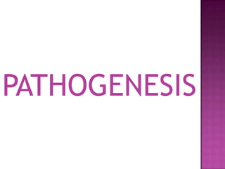 PATHOGENESIS
 