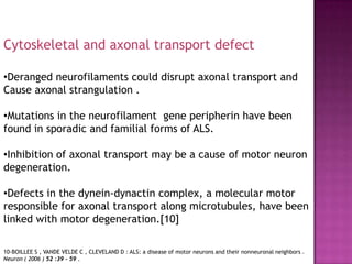 Cytoskeletal and axonal transport defect

•Deranged neurofilaments could disrupt axonal transport and
Cause axonal strangulation .

•Mutations in the neurofilament gene peripherin have been
found in sporadic and familial forms of ALS.

•Inhibition of axonal transport may be a cause of motor neuron
degeneration.

•Defects in the dynein-dynactin complex, a molecular motor
responsible for axonal transport along microtubules, have been
linked with motor degeneration.[10]

10-BOILLEE S , VANDE VELDE C , CLEVELAND D : ALS: a disease of motor neurons and their nonneuronal neighbors .
Neuron ( 2006 ) 52 :39 - 59 .
 