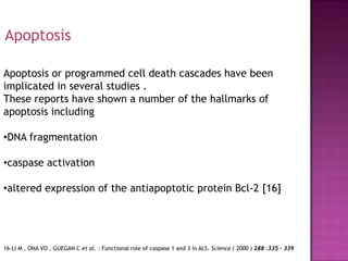 Apoptosis

Apoptosis or programmed cell death cascades have been
implicated in several studies .
These reports have shown a number of the hallmarks of
apoptosis including

•DNA fragmentation

•caspase activation

•altered expression of the antiapoptotic protein Bcl-2 [16]




16-LI M , ONA VO , GUEGAN C et al. : Functional role of caspase 1 and 3 in ALS. Science ( 2000 ) 288 :335 - 339
 