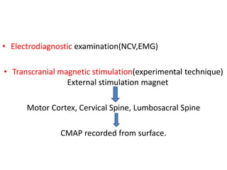 • Electrodiagnostic examination(NCV,EMG)
• Transcranial magnetic stimulation(experimental technique)
External stimulation magnet
Motor Cortex, Cervical Spine, Lumbosacral Spine
CMAP recorded from surface.
 