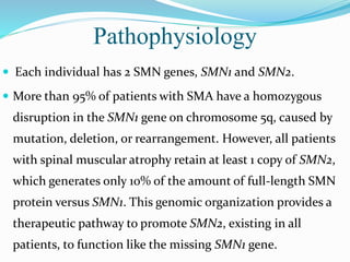 Pathophysiology
 Each individual has 2 SMN genes, SMN1 and SMN2.
 More than 95% of patients with SMA have a homozygous
disruption in the SMN1 gene on chromosome 5q, caused by
mutation, deletion, or rearrangement. However, all patients
with spinal muscular atrophy retain at least 1 copy of SMN2,
which generates only 10% of the amount of full-length SMN
protein versus SMN1. This genomic organization provides a
therapeutic pathway to promote SMN2, existing in all
patients, to function like the missing SMN1 gene.
 
