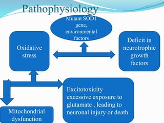 Pathophysiology
Excitotoxicity
excessive exposure to
glutamate , leading to
neuronal injury or death.
Mutant SOD1
gene,
environmental
factors
Oxidative
stress
Deficit in
neurotrophic
growth
factors
Mitochondrial
dysfunction
 