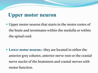 Upper motor neuron
 Upper motor neuron that starts in the motor cortex of
the brain and terminates within the medulla or within
the spinal cord.
 Lower motor neuron;- they are located in either the
anterior grey column, anterior nerve root or the cranial
nerve nuclei of the brainstem and cranial nerves with
motor function.
 