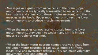 • Messages or signals from nerve cells in the brain (upper
motor neurons) are typically transmitted to nerve cells in the
brain stem and spinal cord (lower motor neurons) and then to
muscles in the body. Upper motor neurons direct the lower
motor neurons to produce muscle movements.
• When the muscles cannot receive signals from the lower
motor neurons, they begin to weaken and shrink in size
(muscle atrophy or wasting).
• When the lower motor neurons cannot receive signals from
the upper motor neurons, it can cause muscle stiffness
(spasticity) and overactive reflexes. This can make voluntary
movements slow and difficult.
 