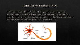 Motor neuron disease - understanding the brain | PDF