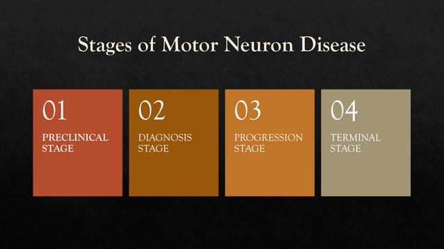 Motor neuron disease - understanding the brain | PDF