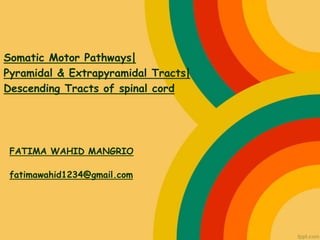 Somatic Motor Pathways|
Pyramidal & Extrapyramidal Tracts|
Descending Tracts of spinal cord
FATIMA WAHID MANGRIO
fatimawahid1234@gmail.com
 