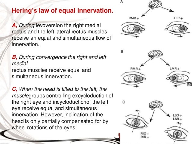 the right to equality in the eyes of the law Important changes to the laws of succession mean that women are now entitled to inherit property under customary law the customary law of succession is. the right to equality in the eyes of the law Important changes to the laws of succession mean that women are now entitled to inherit property under customary law the customary law of succession is.