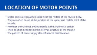 MOTOR POINT of the human body in detail.pptx