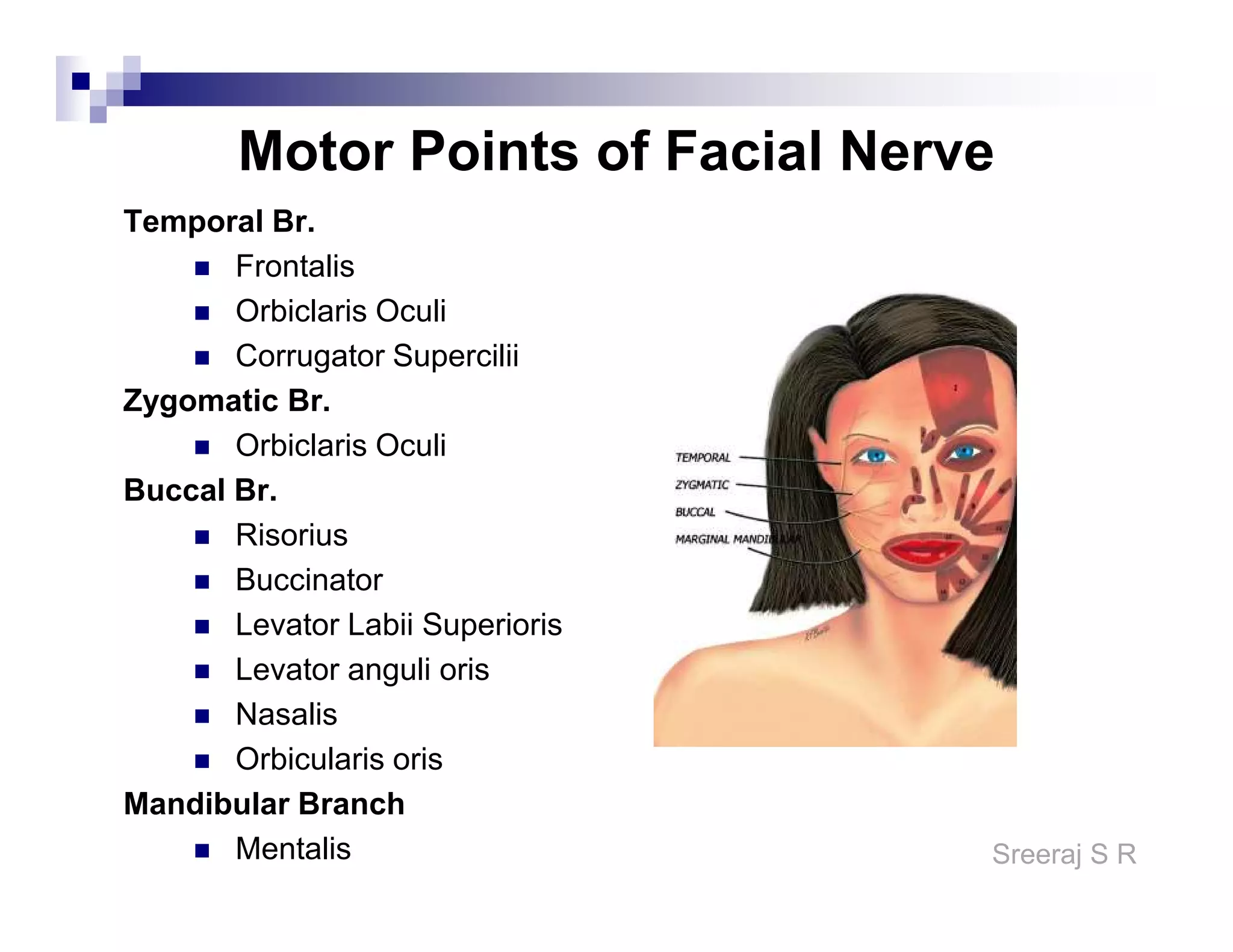 Motor Points Nerve Injuries.pdf