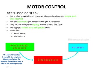 Motor programmes | PPT