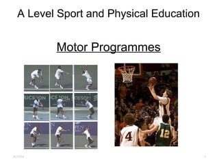 A Level Sport and Physical Education
Motor Programmes
01/25/16 .1
 