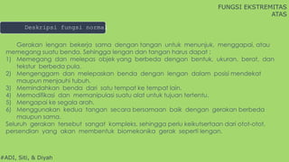 FUNGSI EKSTREMITAS
ATAS
#ADI, Siti, & Diyah
Gerakan lengan bekerja sama dengan tangan untuk menunjuk, menggapai, atau
memegang suatu benda. Sehingga lengan dan tangan harus dapat :
1) Memegang dan melepas objek yang berbeda dengan bentuk, ukuran, berat, dan
tekstur berbeda pula.
2) Mengenggam dan melepaskan benda dengan lengan dalam posisi mendekat
maupun menjauhi tubuh.
3) Memindahkan benda dari satu tempat ke tempat lain.
4) Memodifikasi dan memanipulasi suatu alat untuk tujuan tertentu.
5) Mengapai ke segala arah.
6) Menggunakan kedua tangan secara bersamaan baik dengan gerakan berbeda
maupun sama.
Seluruh gerakan tersebut sangat kompleks, sehingga perlu keikutsertaan dari otot-otot,
persendian yang akan membentuk biomekanika gerak seperti lengan.
Deskripsi fungsi normal
 