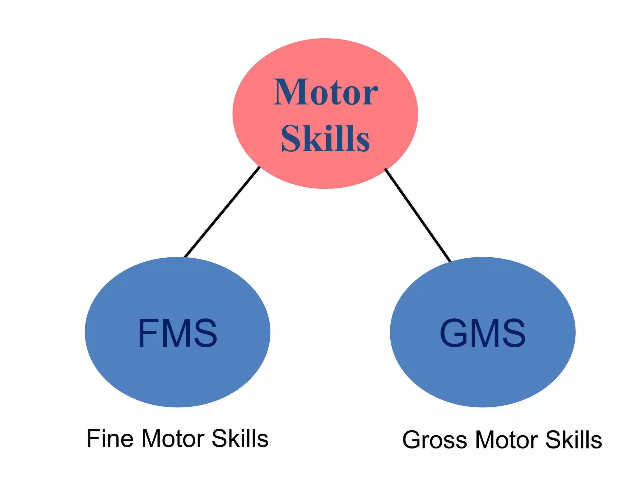 Motor
Skills
FMS GMS
Fine Motor Skills Gross Motor Skills