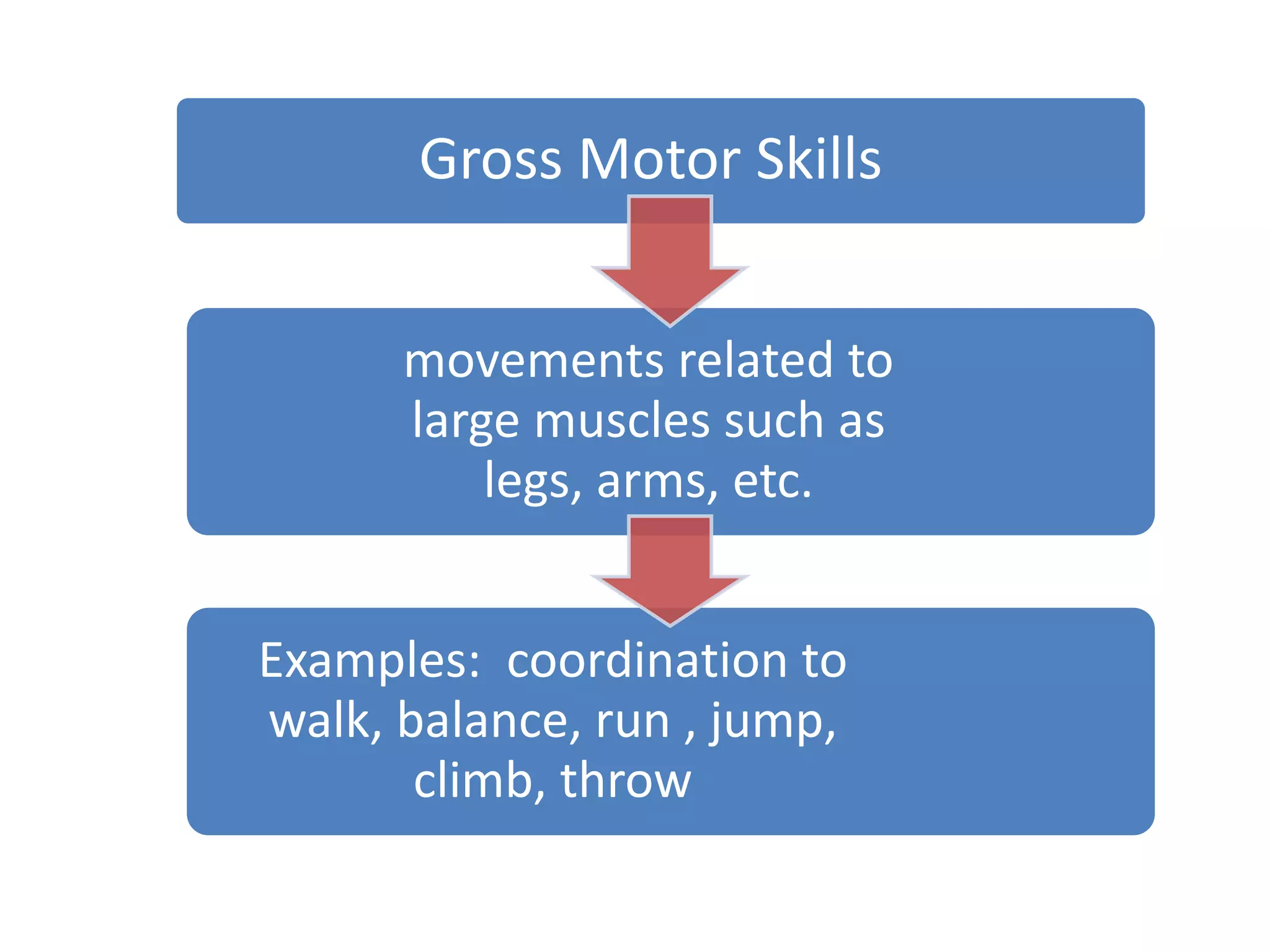 Gross Motor Skills
movements related to
large muscles such as
legs, arms, etc.
Examples: coordination to
walk, balance, run , jump,
climb, throw