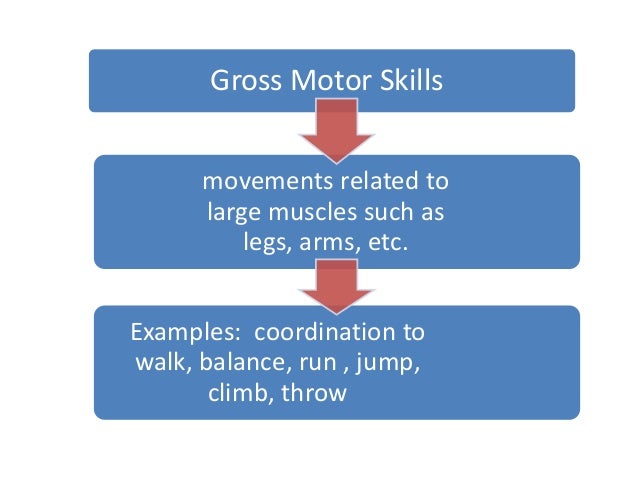 Gross Motor Skills
movements related to
large muscles such as
legs, arms, etc.
Examples: coordination to
walk, balance, ru...