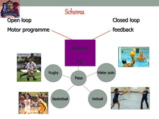 Schema
Open loop Closed loop
Motor programme feedback
Schema
e.g
Water polo
Basketball
Rugby
Pass
Netball
 