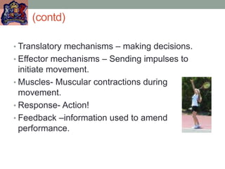 (contd)
• Translatory mechanisms – making decisions.
• Effector mechanisms – Sending impulses to
initiate movement.
• Muscles- Muscular contractions during
movement.
• Response- Action!
• Feedback –information used to amend
performance.
 