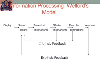 Information Processing- Welford’s
Model
Display Sense Perceptual Effector Muscular response
organs mechanisms mechanisms contractions
Intrinsic Feedback
Extrinsic Feedback
 