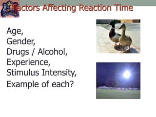Factors Affecting Reaction Time
Age,
Gender,
Drugs / Alcohol,
Experience,
Stimulus Intensity,
Example of each?
 