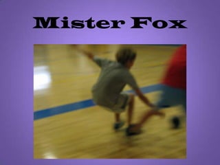 Mister Fox