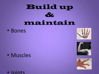 Build up&maintainBones											                    	    MusclesJoints              