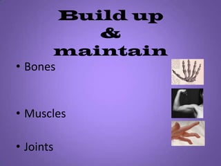 Build up&maintainBones											                    	    MusclesJoints              