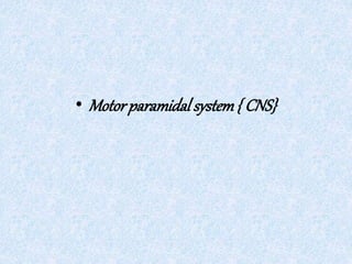 • Motorparamidal system{ CNS}
 