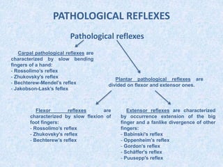 PATHOLOGICAL REFLEXES
Pathological reflexes
Carpal pathological reflexes are
characterized by slow bending
fingers of a hand:
- Rossolimo’s reflex
- Zhukovsky's reflex
- Bechterew-Mendel’s reflex
- Jakobson-Lask’s feflex
Plantar pathological reflexes are
divided on flexor and extensor ones.
Flexor reflexes are
characterized by slow flexion of
foot fingers:
- Rossolimo’s reflex
- Zhukovsky's reflex
- Bechterew’s reflex
Extensor reflexes are characterized
by occurrence extension of the big
finger and a fanlike divergence of other
fingers:
- Babinski's reflex
- Oppenheim's reflex
- Gordon's reflex
- Schäffer's reflex
- Puusepp's reflex
 