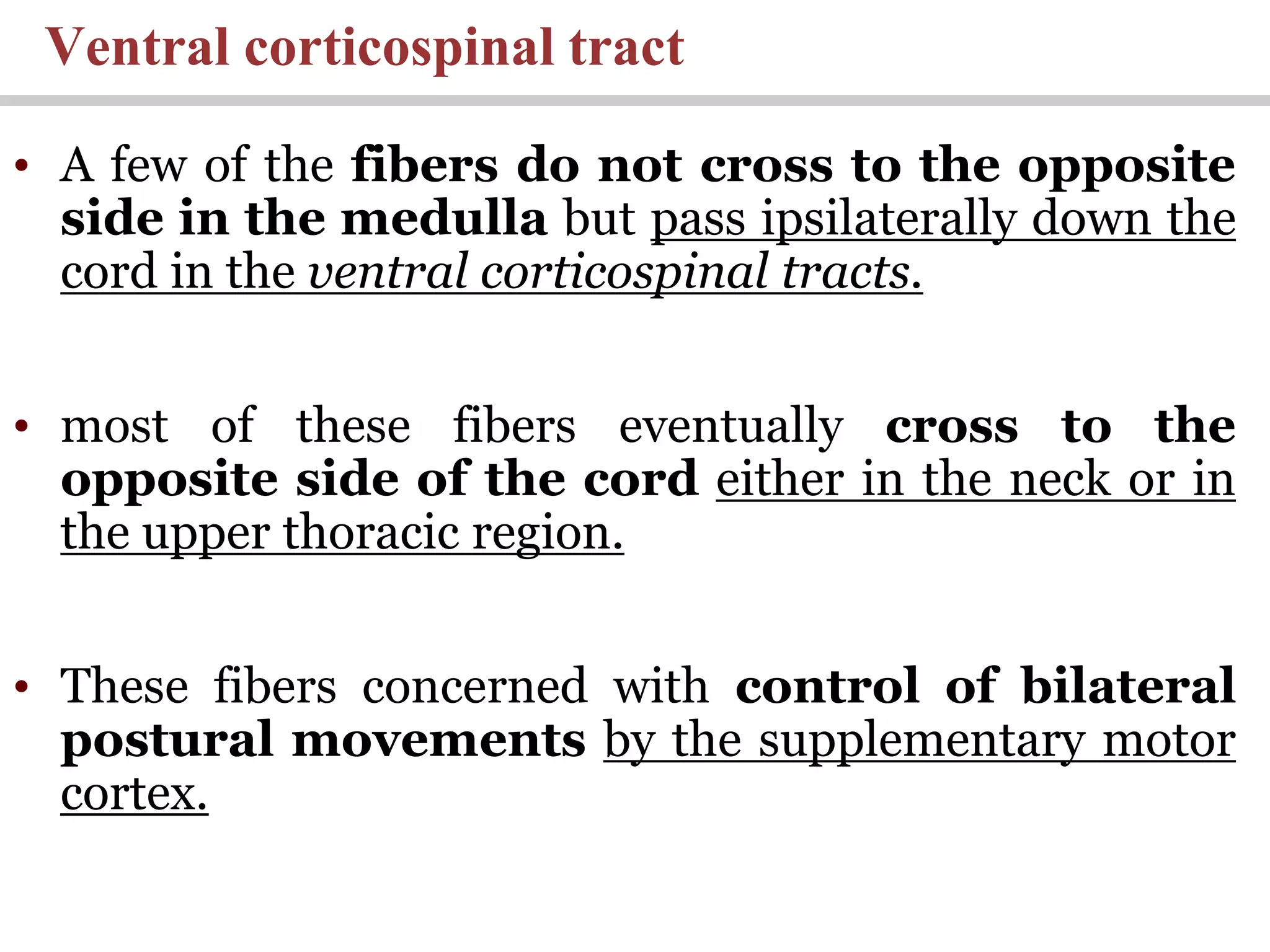 Ventral corticospinal tract
• A few of the fibers do not cross to the opposite
side in the medulla but pass ipsilaterally down the
cord in the ventral corticospinal tracts.
• most of these fibers eventually cross to the
opposite side of the cord either in the neck or in
the upper thoracic region.
• These fibers concerned with control of bilateral
postural movements by the supplementary motor
cortex.
 