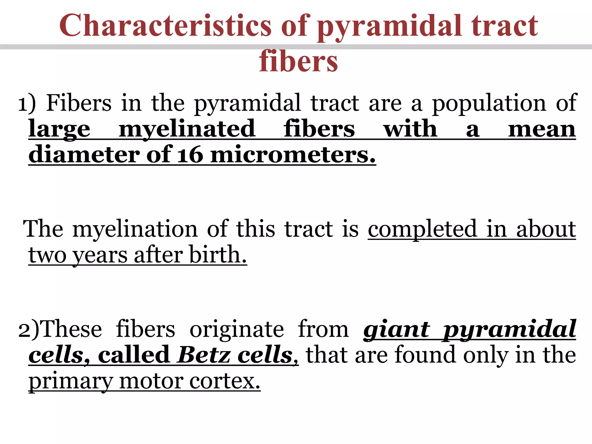 Characteristics of pyramidal tract
fibers
1) Fibers in the pyramidal tract are a population of
large myelinated fibers with a mean
diameter of 16 micrometers.
The myelination of this tract is completed in about
two years after birth.
2)These fibers originate from giant pyramidal
cells, called Betz cells, that are found only in the
primary motor cortex.
 