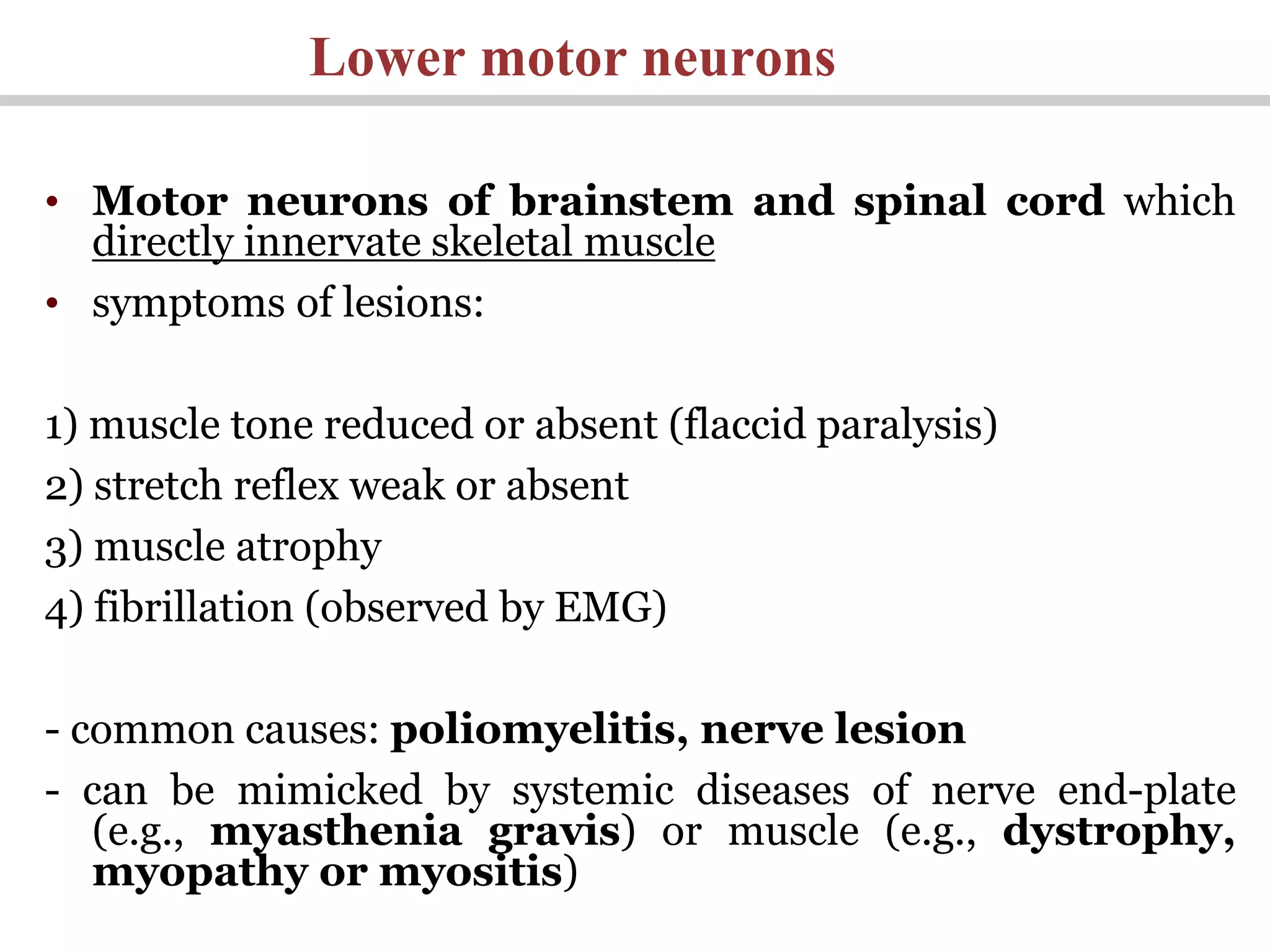 Lower motor neurons
• Motor neurons of brainstem and spinal cord which
directly innervate skeletal muscle
• symptoms of lesions:
1) muscle tone reduced or absent (flaccid paralysis)
2) stretch reflex weak or absent
3) muscle atrophy
4) fibrillation (observed by EMG)
- common causes: poliomyelitis, nerve lesion
- can be mimicked by systemic diseases of nerve end-plate
(e.g., myasthenia gravis) or muscle (e.g., dystrophy,
myopathy or myositis)
 