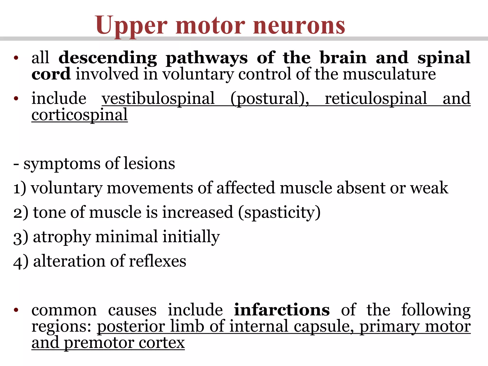 Upper motor neurons
• all descending pathways of the brain and spinal
cord involved in voluntary control of the musculature
• include vestibulospinal (postural), reticulospinal and
corticospinal
- symptoms of lesions
1) voluntary movements of affected muscle absent or weak
2) tone of muscle is increased (spasticity)
3) atrophy minimal initially
4) alteration of reflexes
• common causes include infarctions of the following
regions: posterior limb of internal capsule, primary motor
and premotor cortex
 