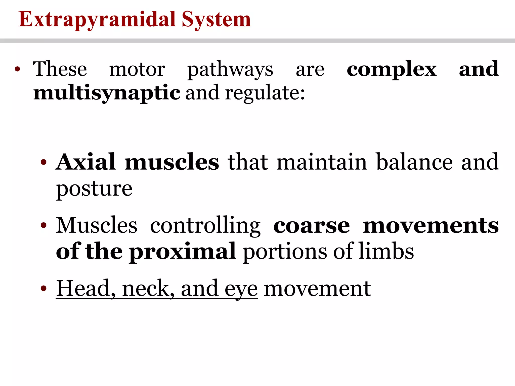 Extrapyramidal System
• These motor pathways are complex and
multisynaptic and regulate:
• Axial muscles that maintain balance and
posture
• Muscles controlling coarse movements
of the proximal portions of limbs
• Head, neck, and eye movement
 