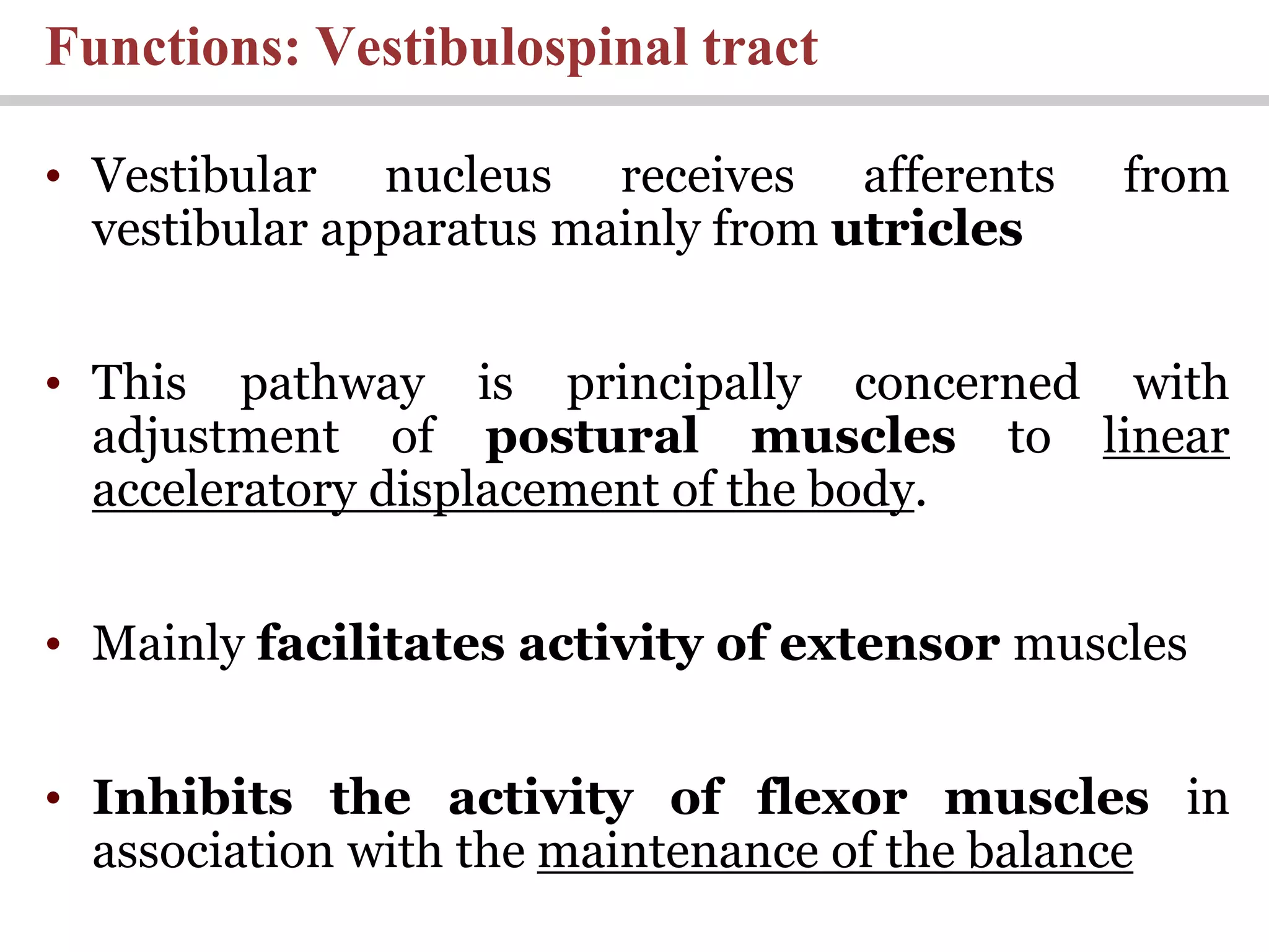 Functions: Vestibulospinal tract
• Vestibular nucleus receives afferents from
vestibular apparatus mainly from utricles
• This pathway is principally concerned with
adjustment of postural muscles to linear
acceleratory displacement of the body.
• Mainly facilitates activity of extensor muscles
• Inhibits the activity of flexor muscles in
association with the maintenance of the balance
 
