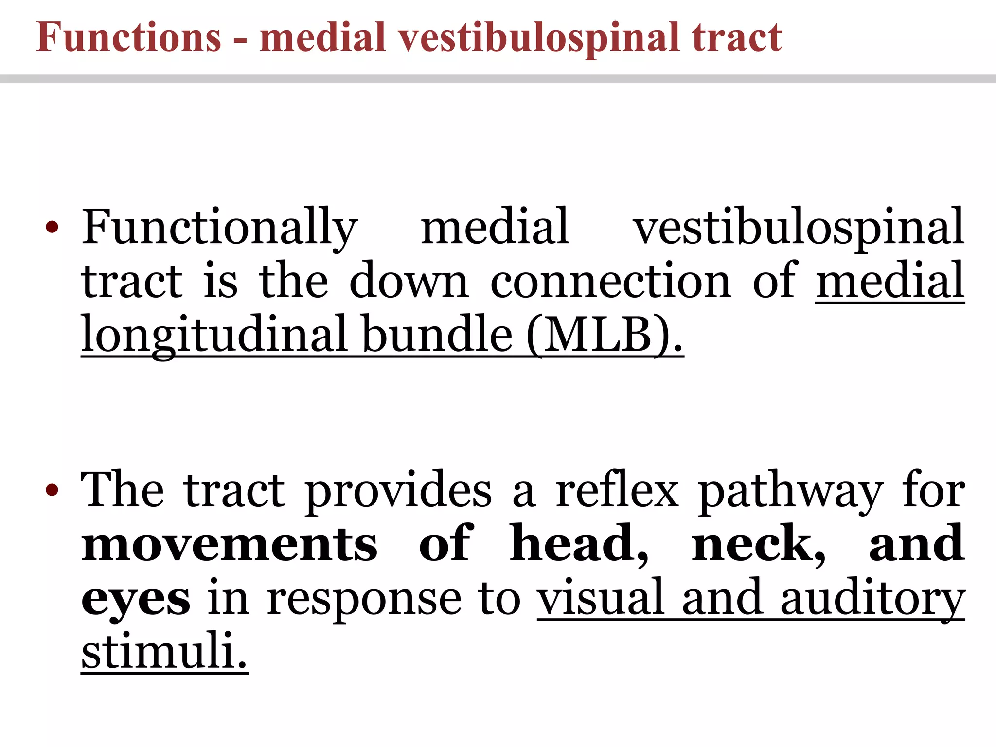 Functions - medial vestibulospinal tract
• Functionally medial vestibulospinal
tract is the down connection of medial
longitudinal bundle (MLB).
• The tract provides a reflex pathway for
movements of head, neck, and
eyes in response to visual and auditory
stimuli.
 