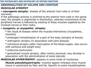 The physiology and pathology of motor function of human | PPT