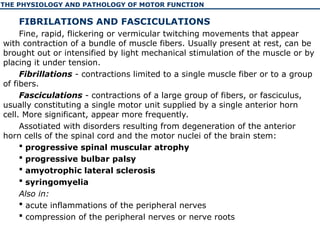 The physiology and pathology of motor function of human | PPT