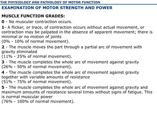 The physiology and pathology of motor function of human | PPT