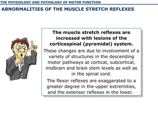 The physiology and pathology of motor function of human | PPT